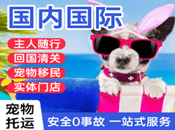 长沙黄花机场托运国际宠物托运 【国
